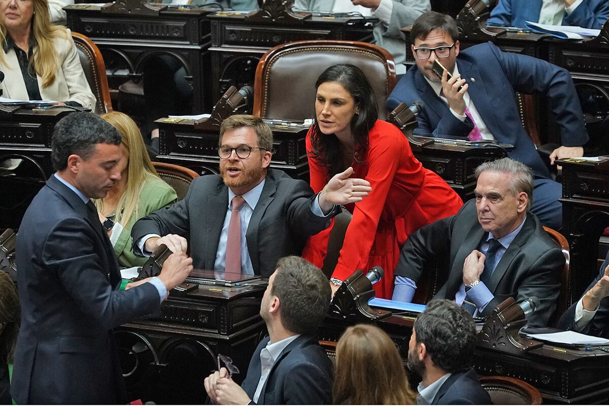 Sesión en la Cámara de Diputados por los vetos al presupuesto universitario y a la emergencia pediátrica en el hospital Garrahan. (Gentileza Clarín)