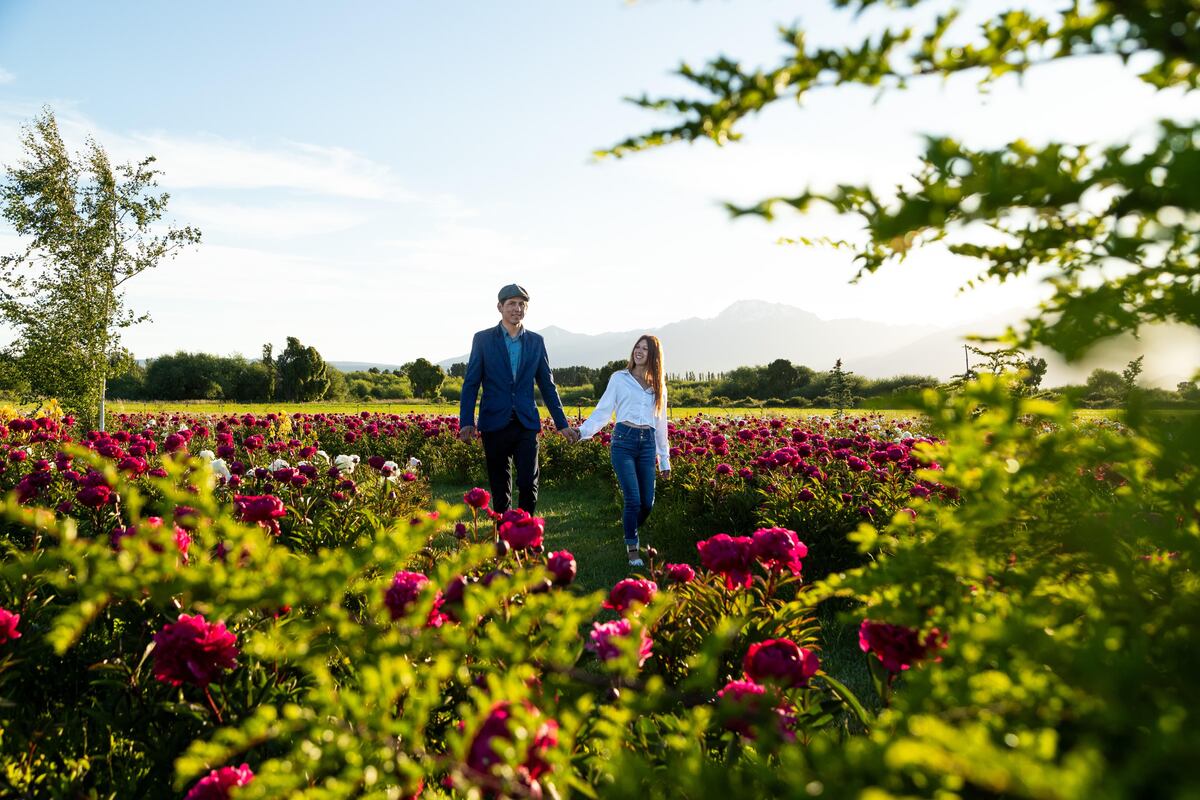 Esquel,  ofrece paisajes memorables como los campos de flores, invitando a volver a sentirse bien.