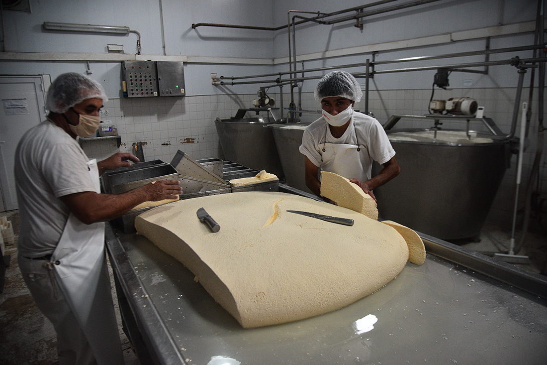 Además de dulce de leche, Los Quebrachitos produce queso.