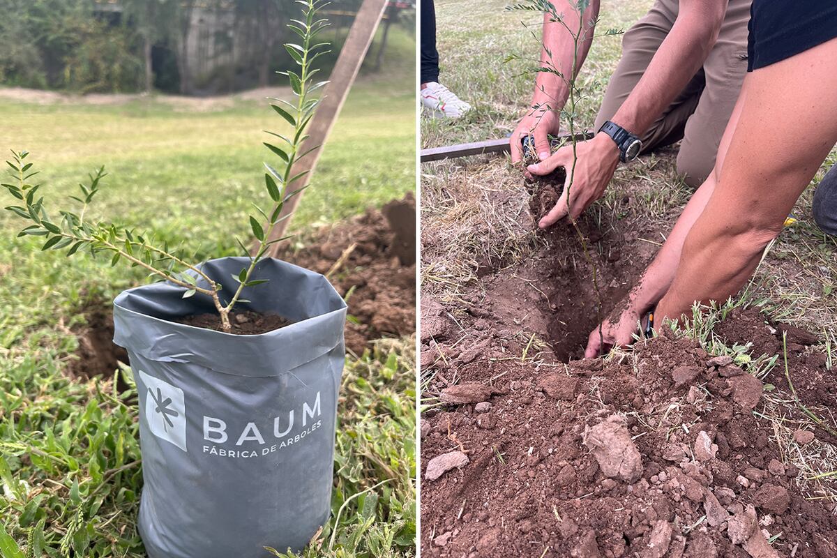 La experiencia con Custore sienta un precedente para futuras plantaciones, que seguirán fortaleciendo el pulmón verde de Manantiales.