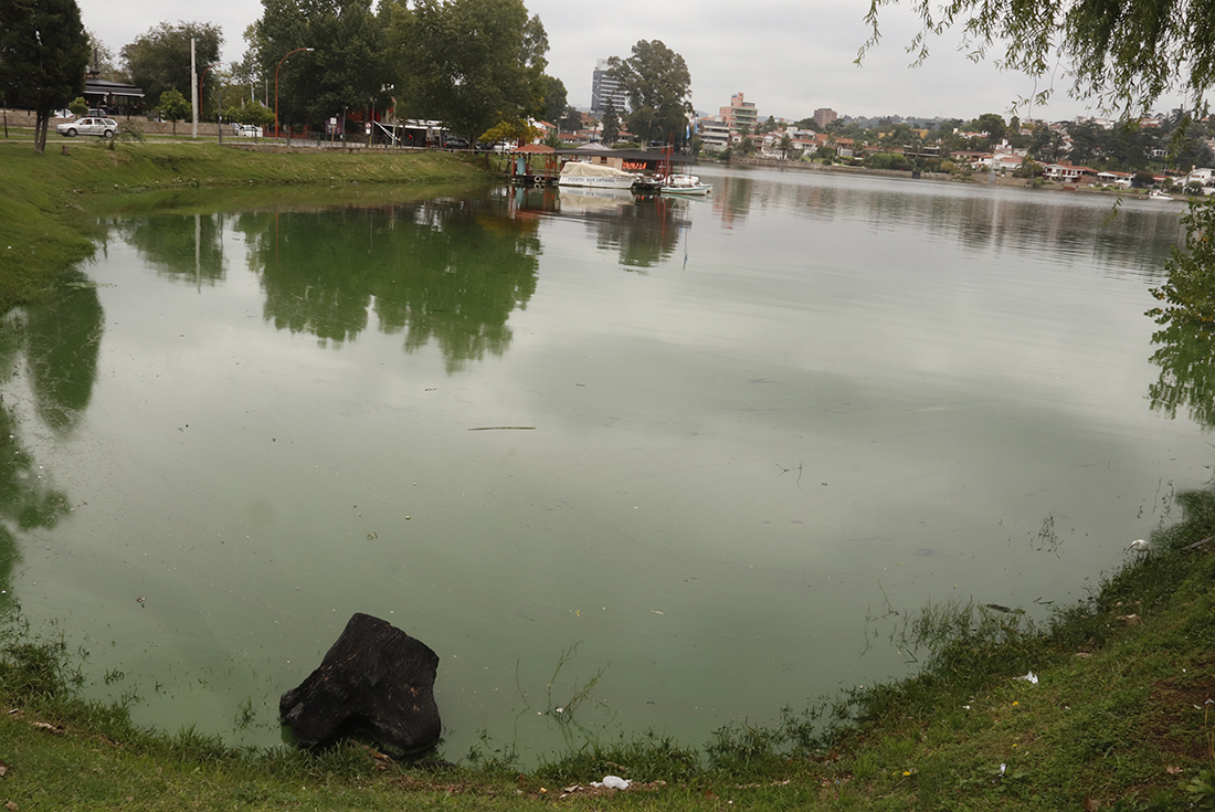 Lago San Roque, verde esta semana, otra vez. Una evidencia de su mal estado, por efecto de la ausencia de cloacas en el centro y sur de Punilla. (La Voz)