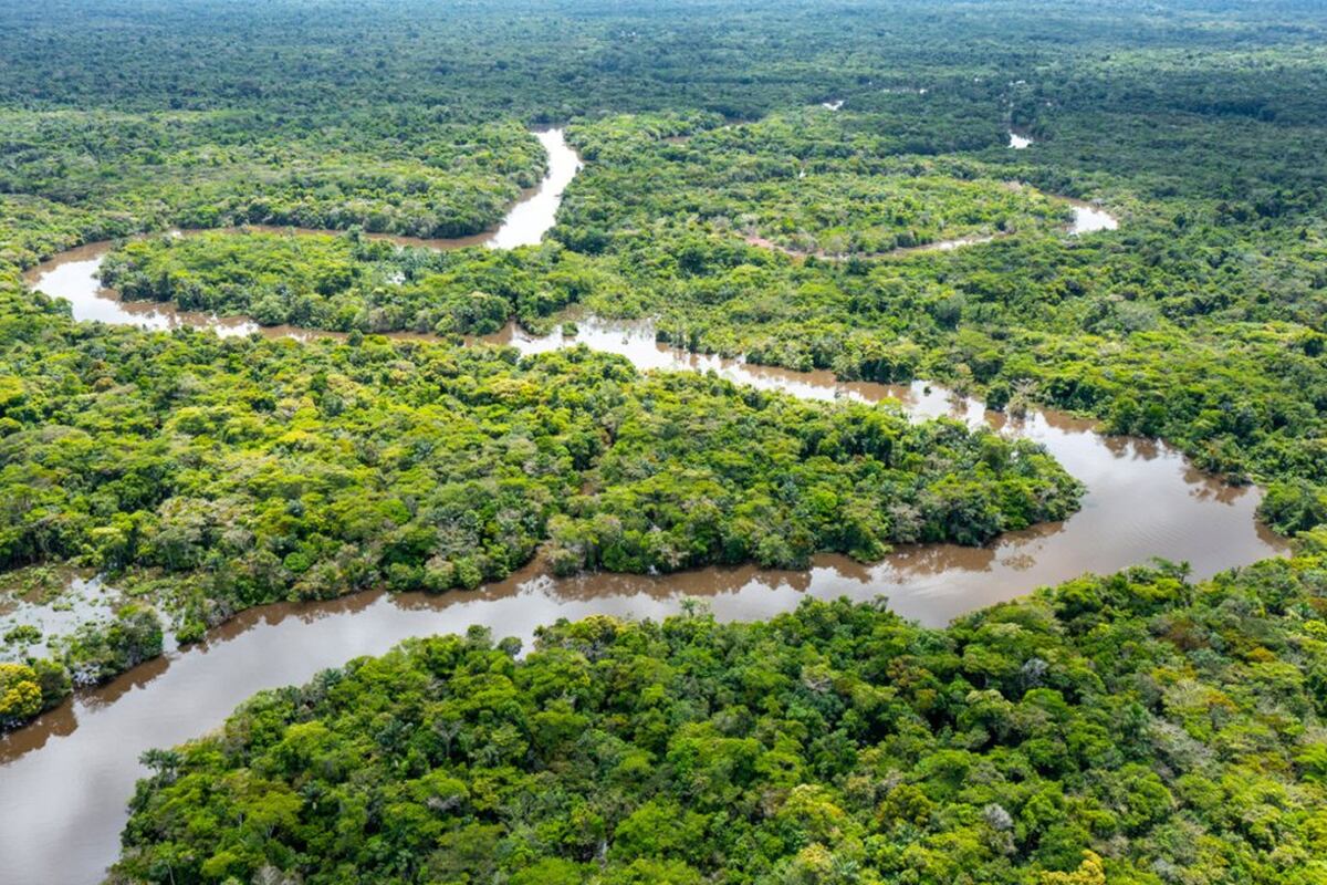 Los ríos voladores transportan más agua que el propio Amazonas, que es el más grande del mundo. Getty.