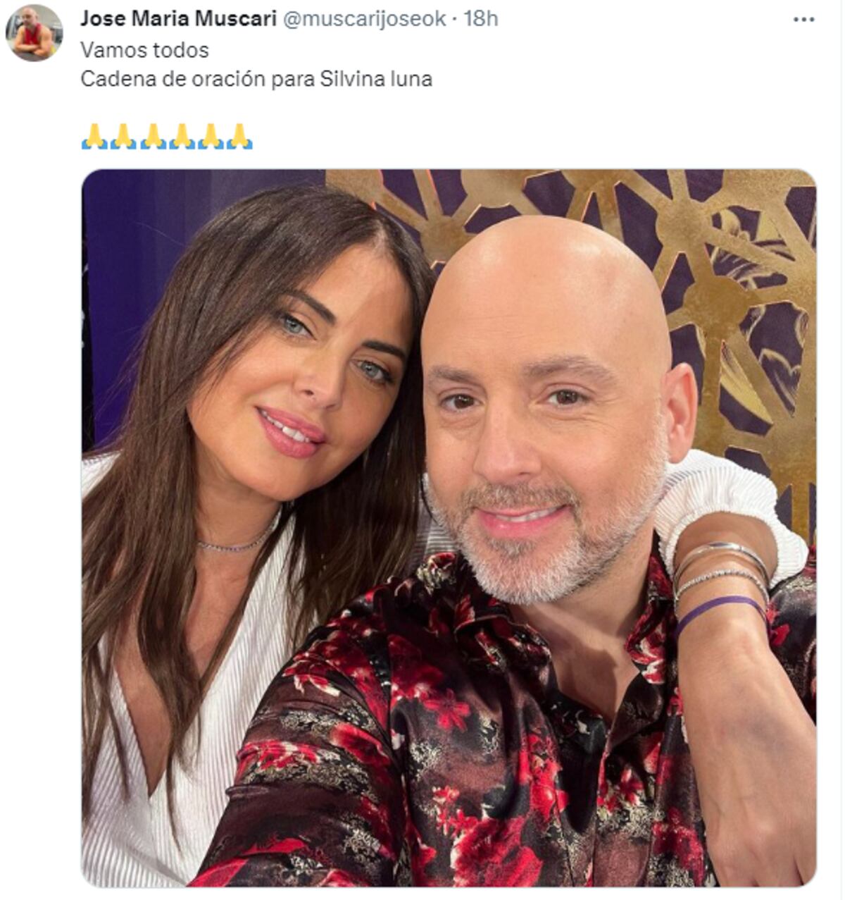 Los famosos se sumaron a la cadena de oración por Silvina Luna. (Twitter)