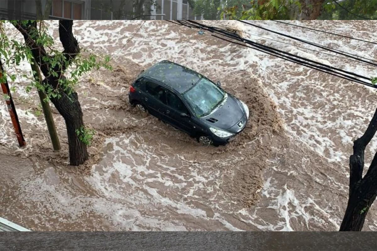Temporal en Mendoza (Gentileza).