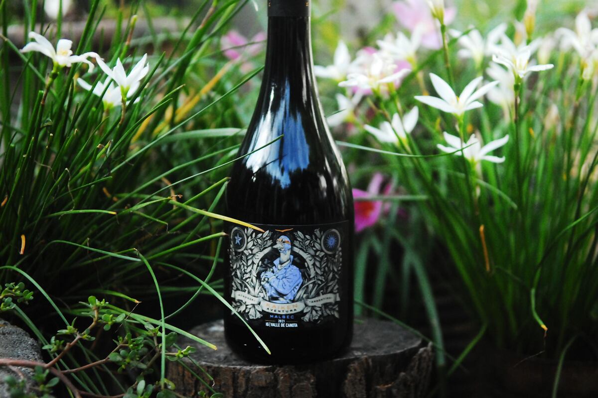 9- Vinos, variedades que merecen ser probadas (Javier Ferreyra).