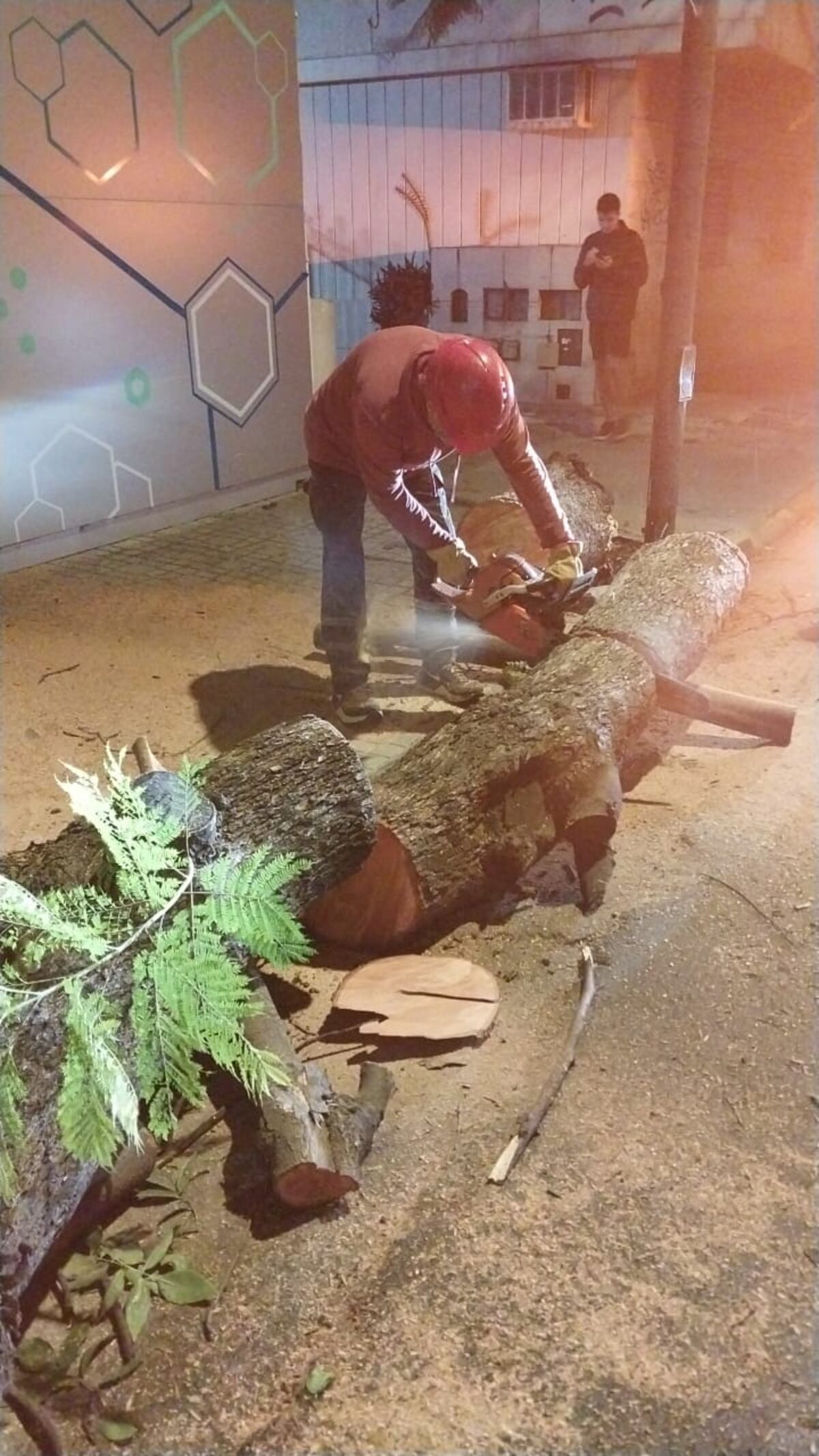 Cuadrillas municipales trabajan sobre los árboles caídos en Córdoba en la noche del domingo.