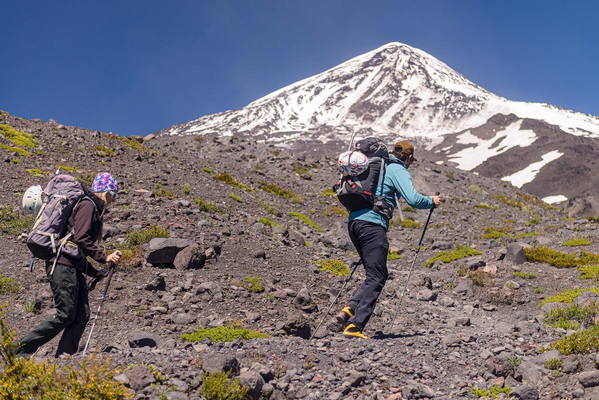 (Gentileza: La Ruta Natural)
