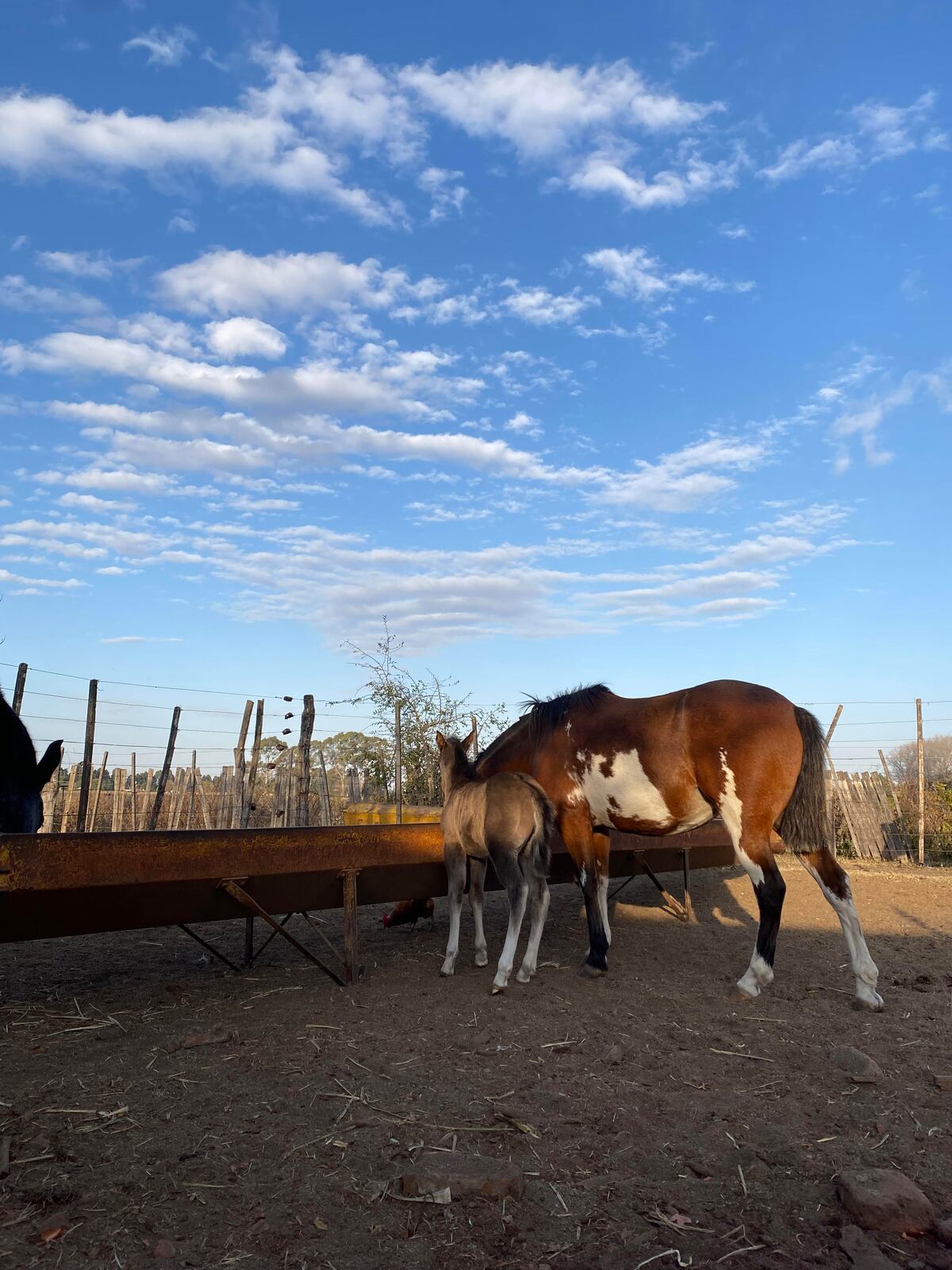 La Vieja Bodega ofrece una experiencia relajada y diferente para vivir el campo. (Gentileza: Valentina Duclo)