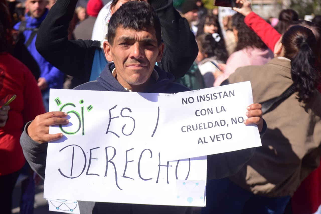 Marcha contra los recortes en discapacidad en la Plaza San Martín. (José Gabriel Hernández / La Voz)