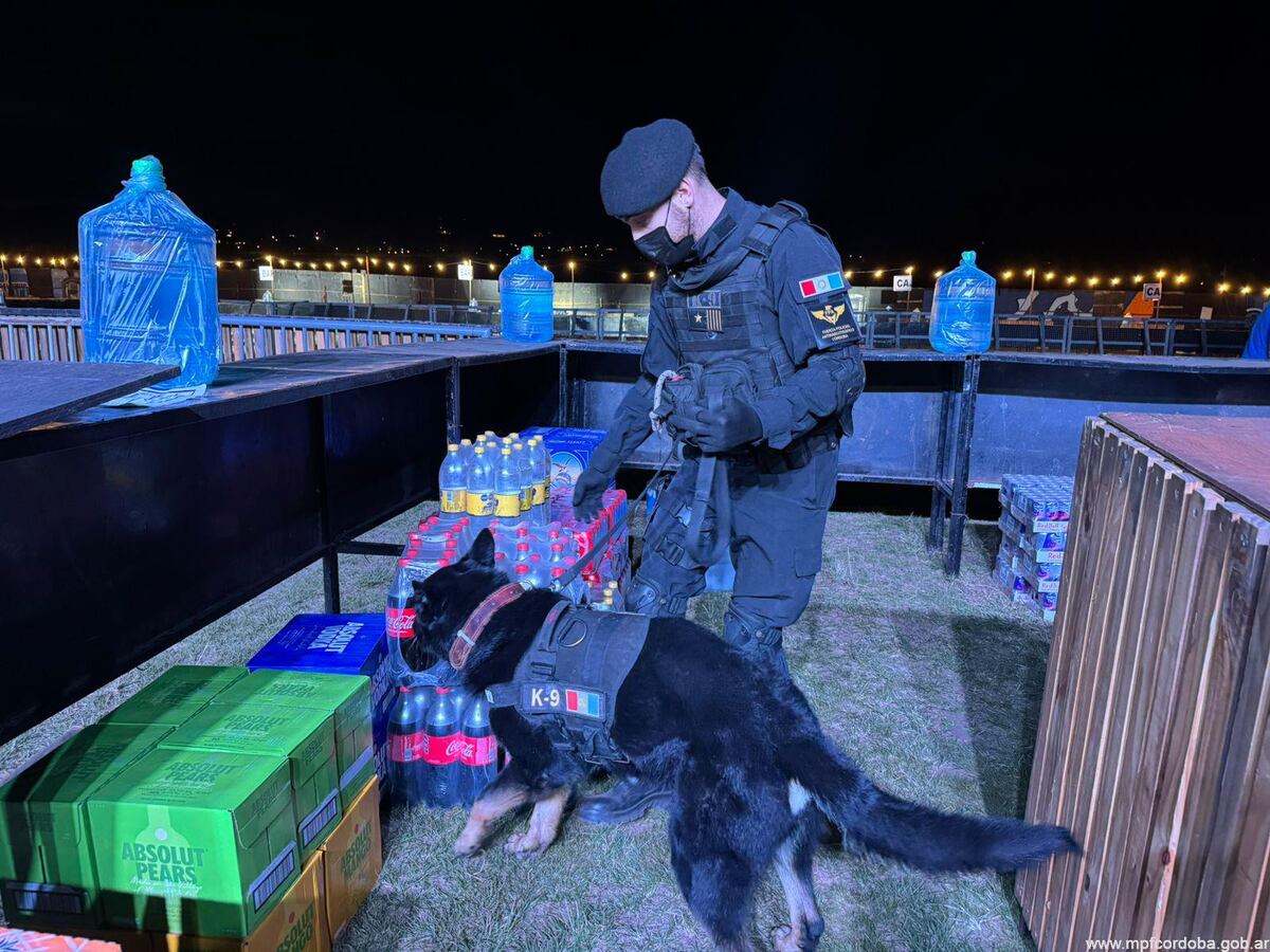 Festejos de la primavera en Córdoba: cinco detenidos y más de 700 dosis de drogas incautadas. (MPF)