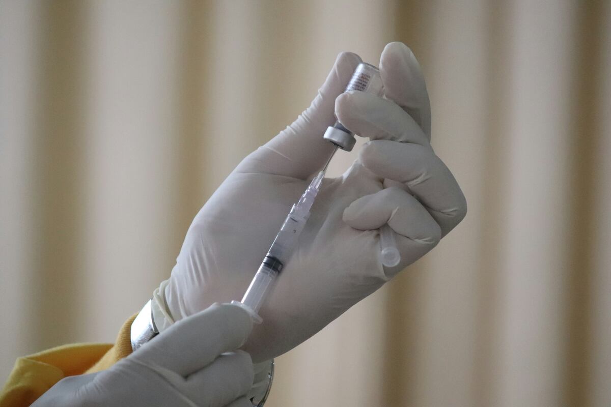 Vacuna contra la fiebre amarilla: cuánto cuesta hoy en Argentina antes de viajar a Brasil