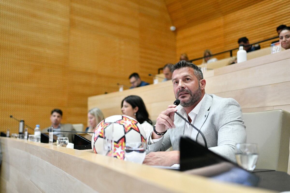Abraham Galo, legislador provincial, presidente de la Comisión de Ambiente. (Gentileza)