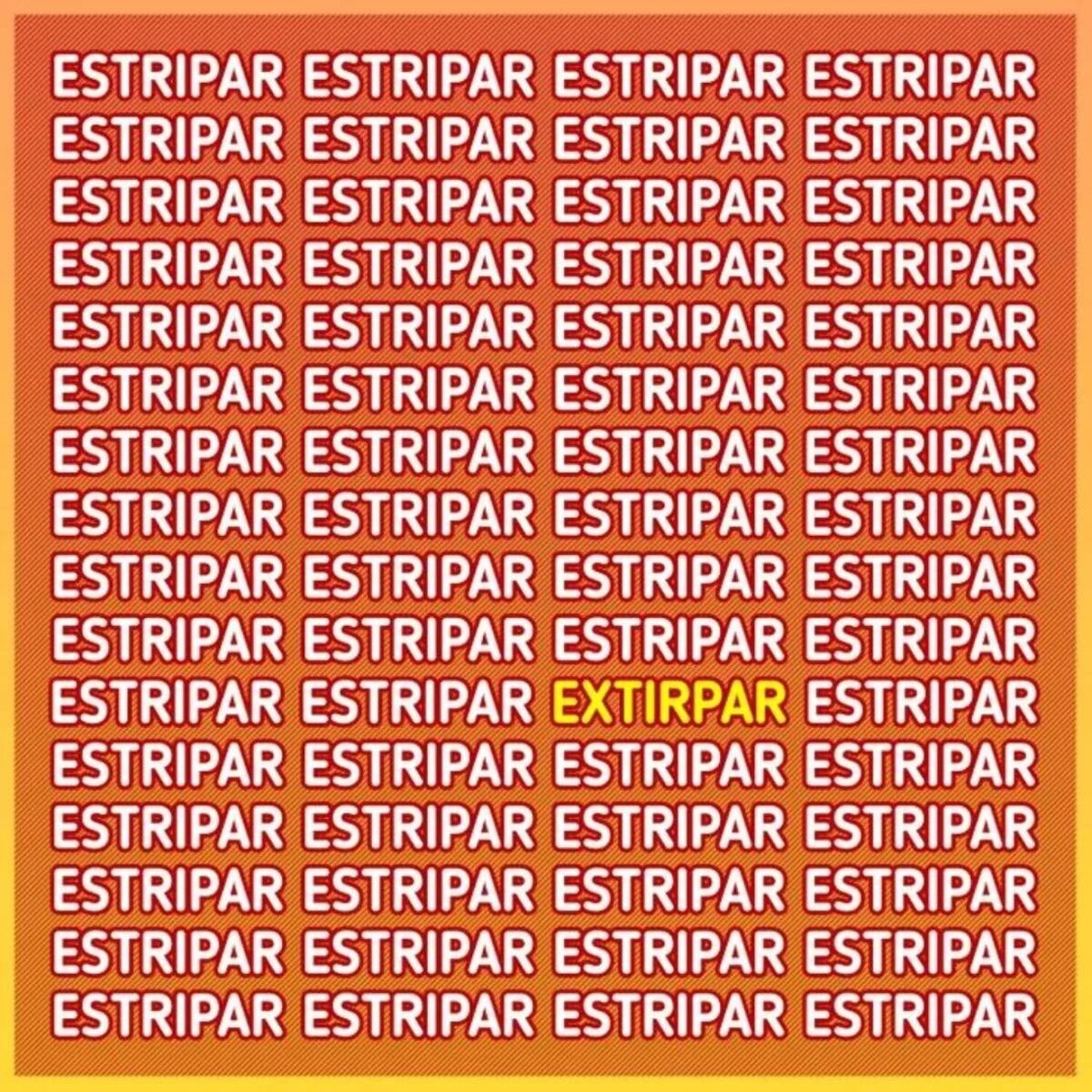 La respuesta correcta.