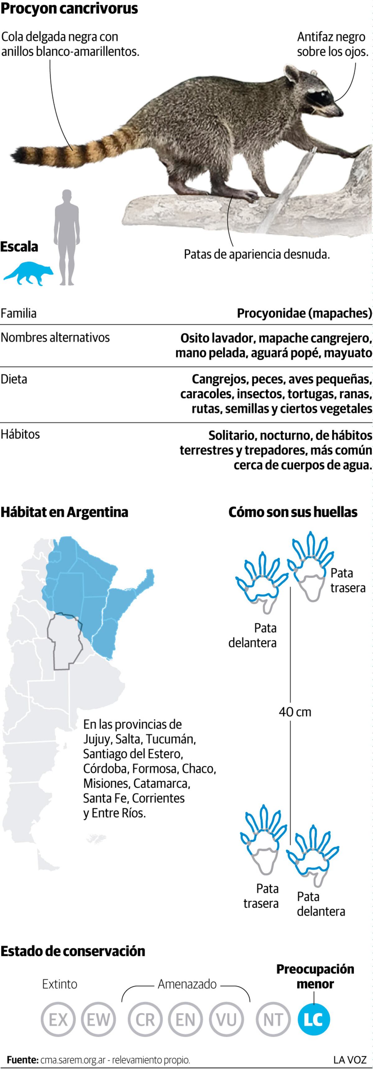 Imagen de la nota