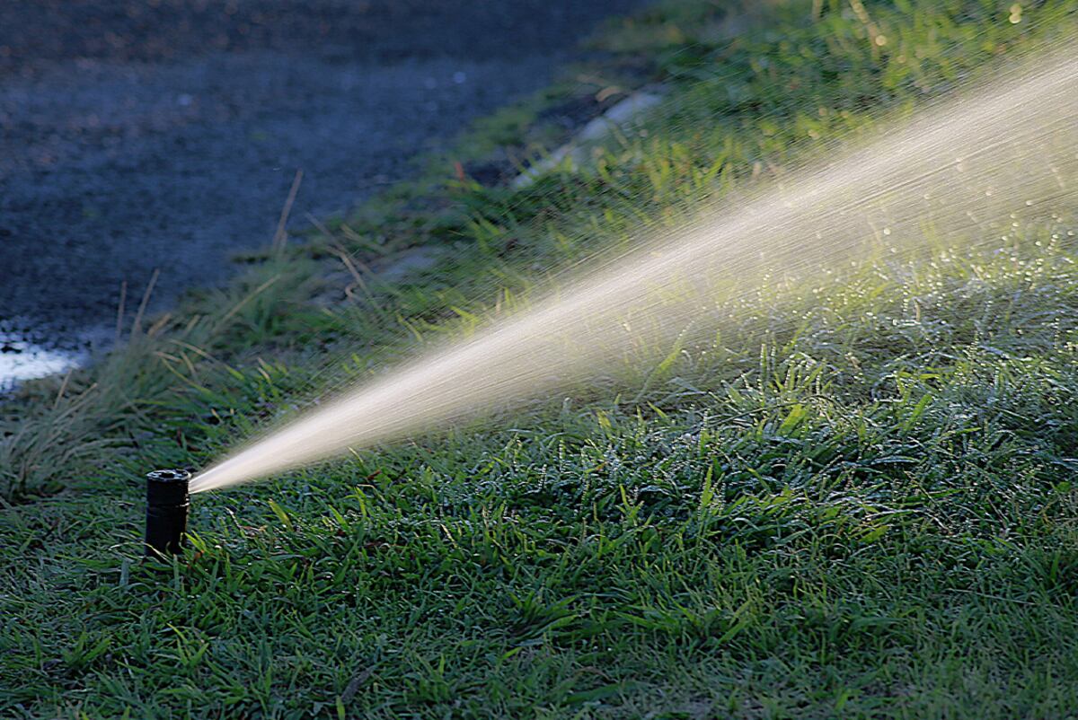 Controlar los sistemas de riego y grifos externos, que pueden verse afectados por las condiciones climáticas. Foto: Pixabay / Aguas Cordobesas