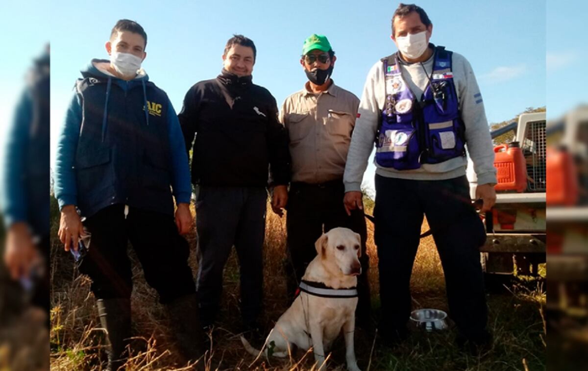 Equipo que participó en el rastrillaje en la zona donde desapareció Guadalupe Lucero. (Gentileza / El Chorrillero)