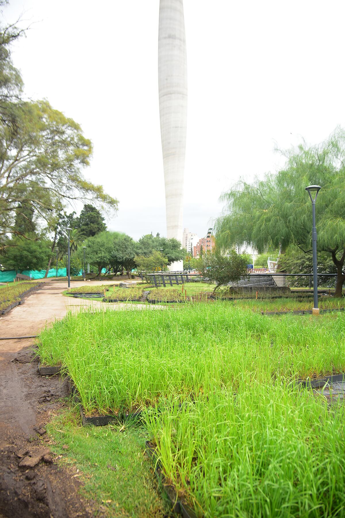 Avance de la cubierta verde en el Centro Cultural Córdoba. (Pedro Castillo / La Voz)