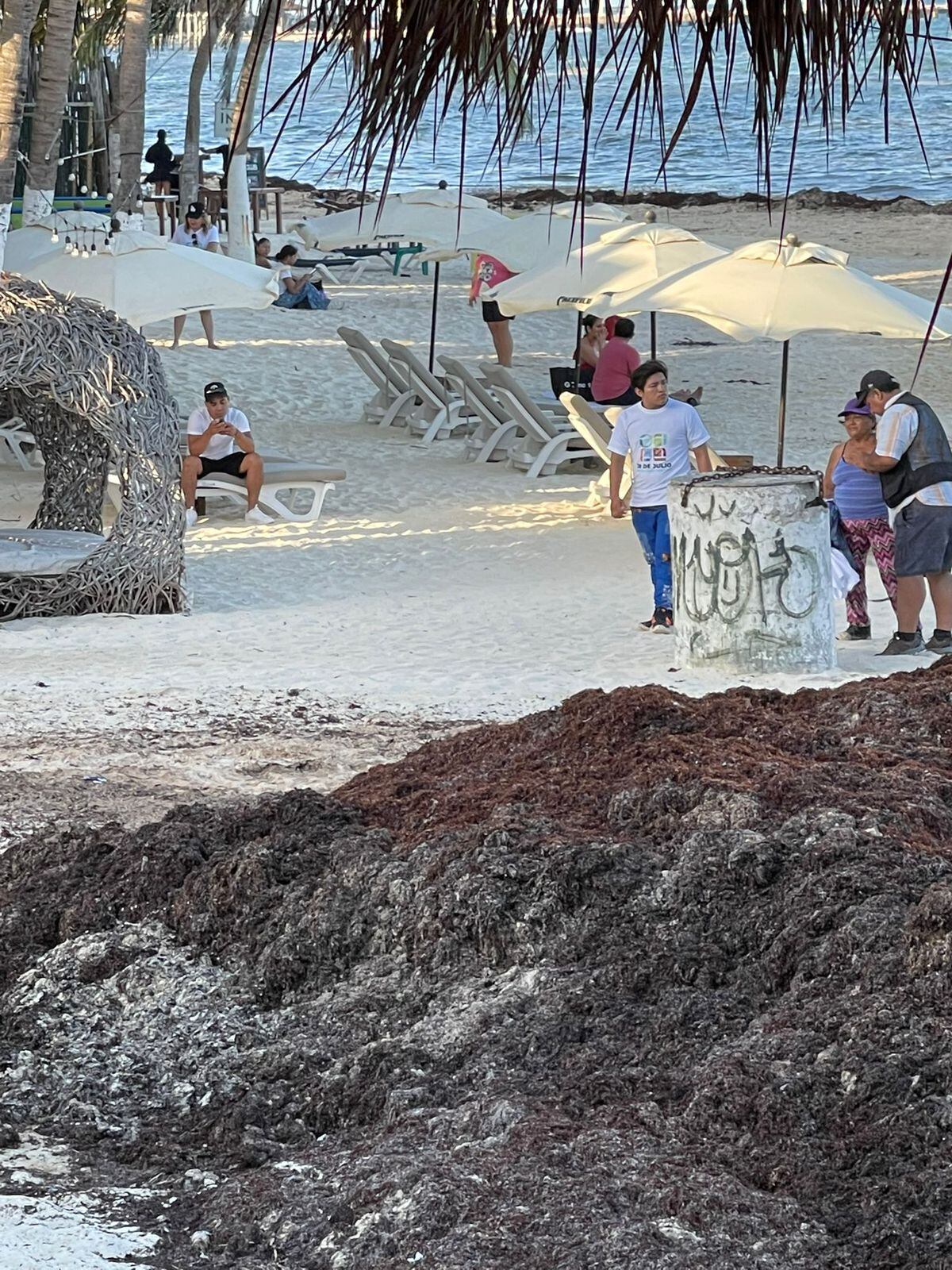 Impactantes imágenes del sargazo en todo el Caribe, un tema que preocupa al medio ambiente y el turismo.