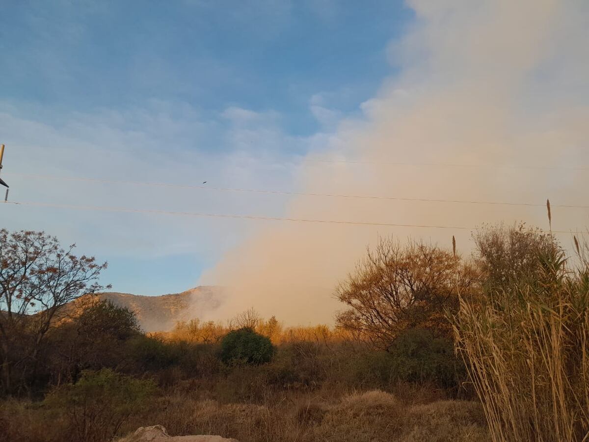 Incendio en el Centro ambiental de Villa Carlos Paz. (Gentileza)