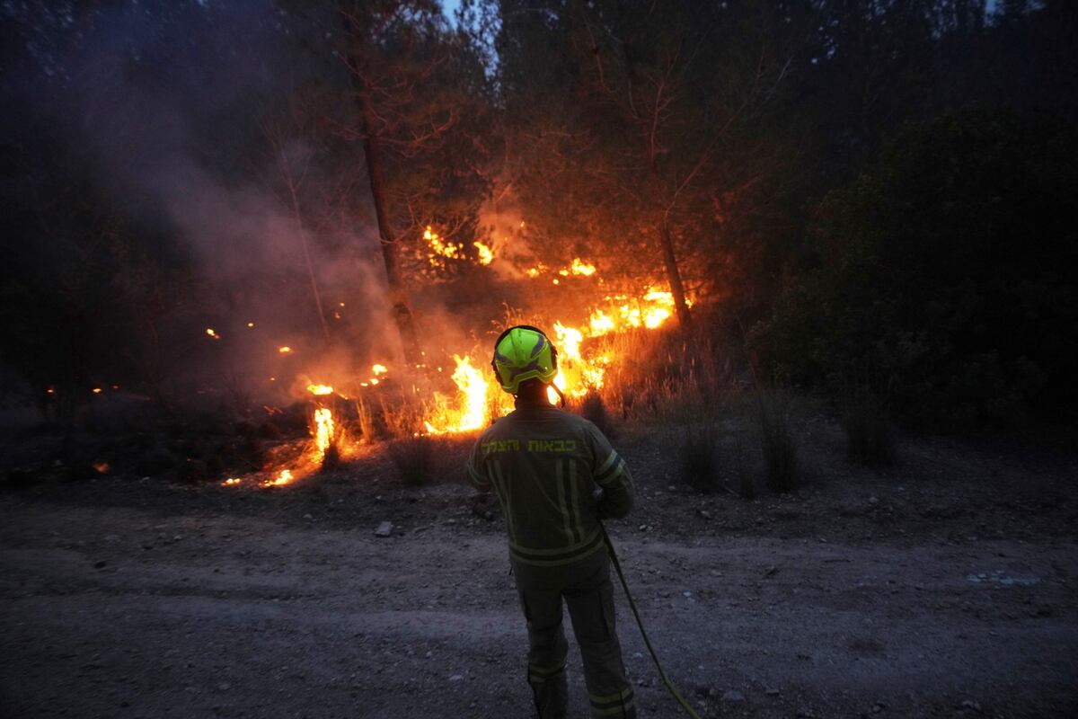 Incendios forestales afectan gravemente a Israel
