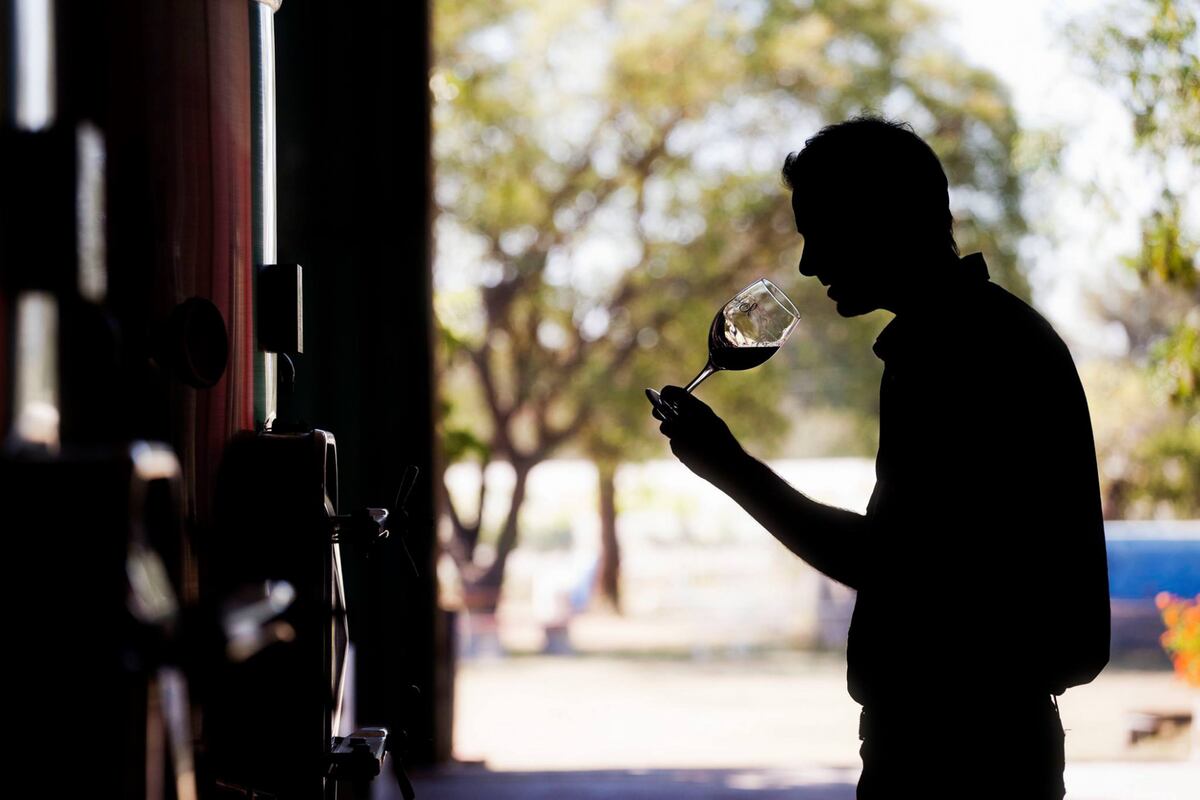 Los Caminos del Vino en Córdoba. (Foto: Agencia Córdoba Turismo)