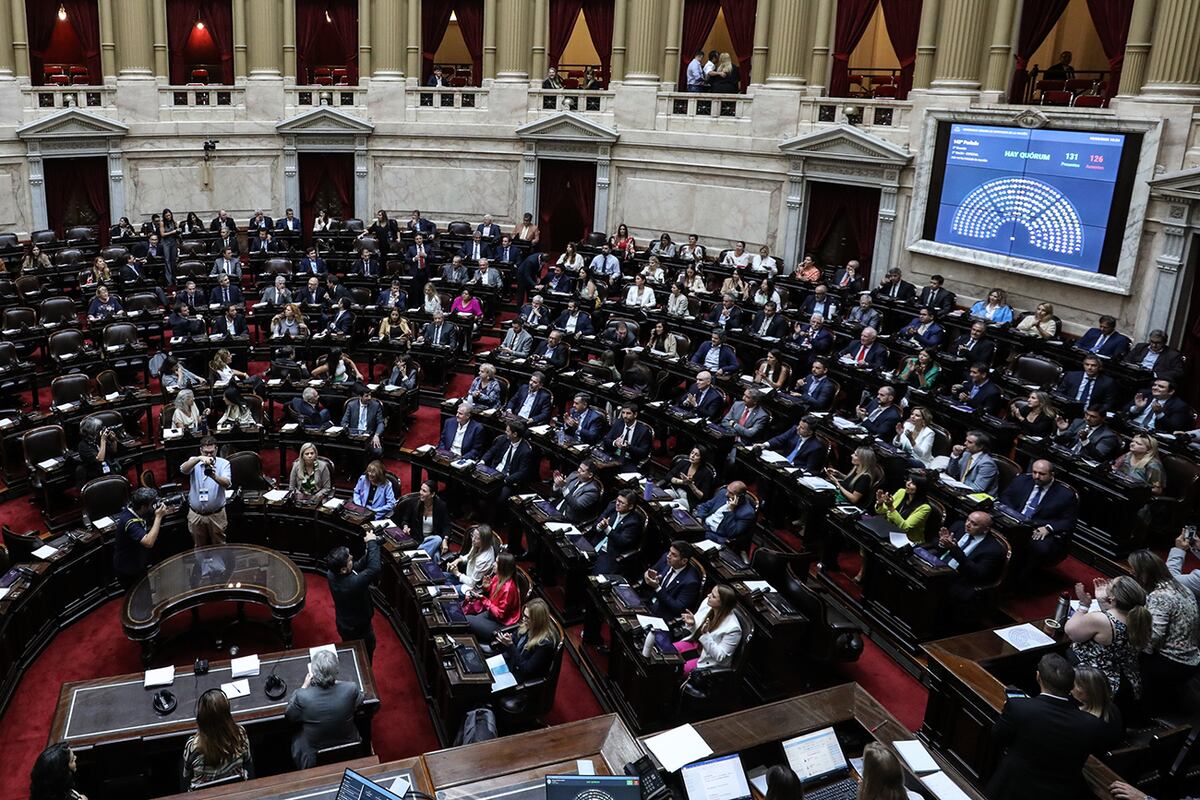Ahora, el debate se trasladó a la Cámara de Diputados. (Prensa Diputados)