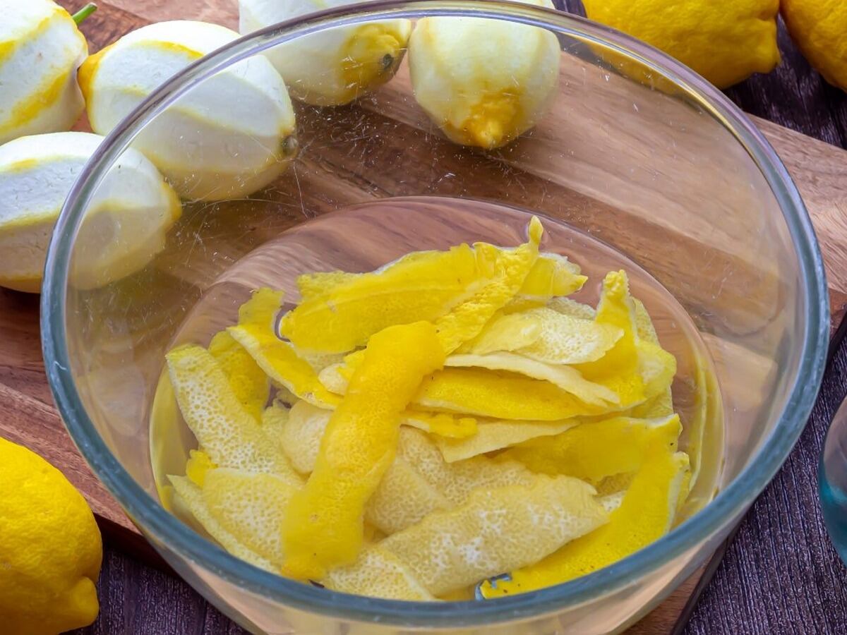Heladera sin olor: el truco con cáscaras de limón y alcohol que elimina los aromas de raíz