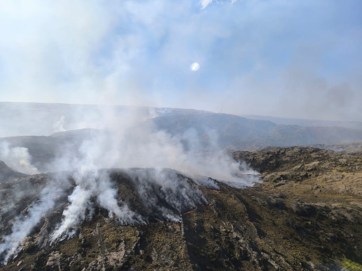 Pastizales quemándose en la Quebrada del Condorito. (Apn)