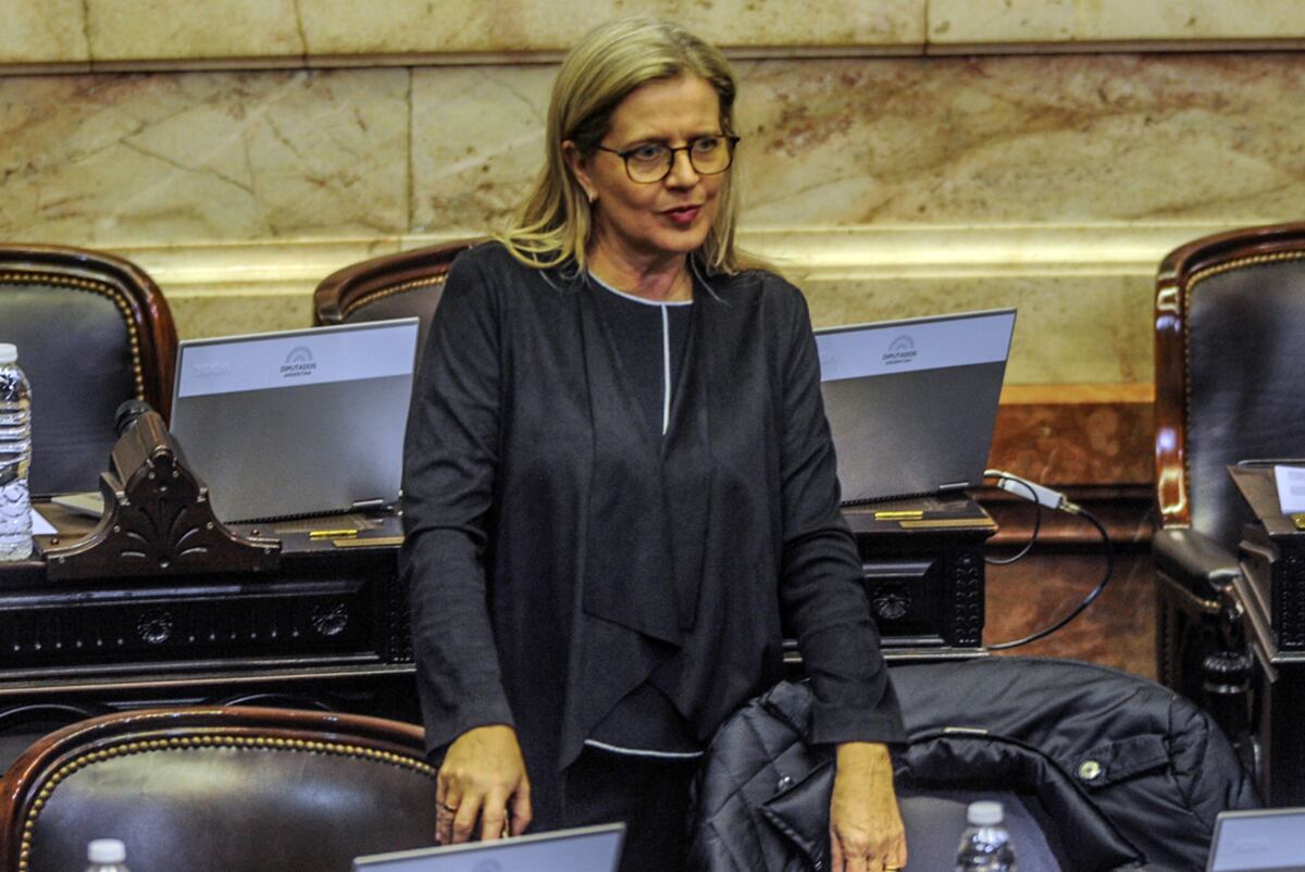 Adriana Nazario en su época de diputada nacional. (Federico López Claro)