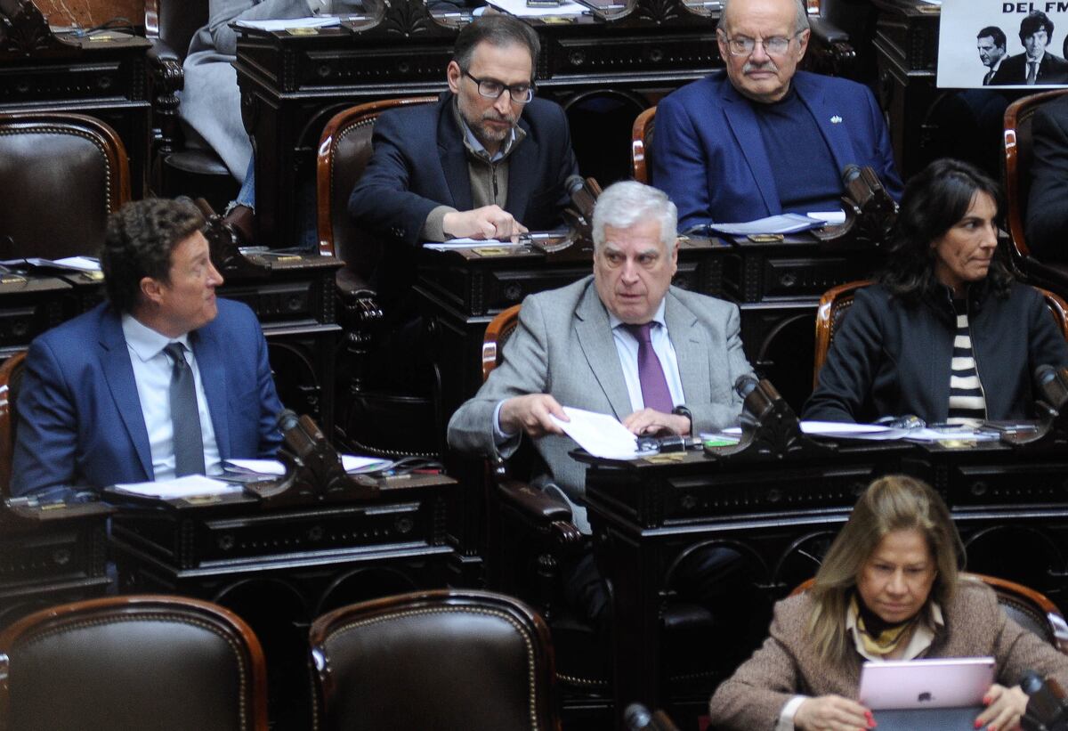 Debate en Diputados por el Impuesto a las ganancias
Foto Federico Lopez Claro
Natalia De La Sota Ignacio Aresca y carlos gutierrez