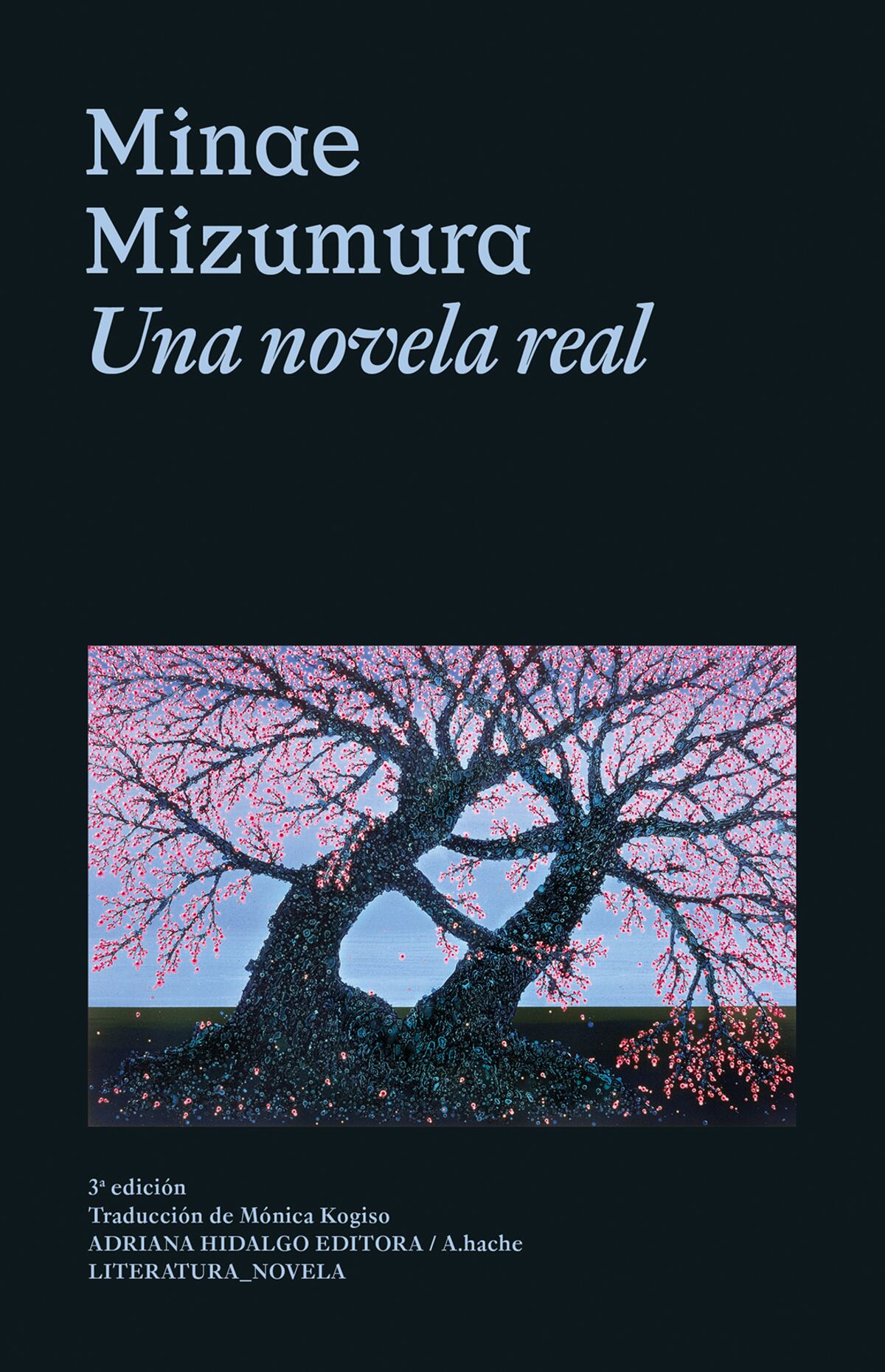 "Una novela real", Minae Mizumura.