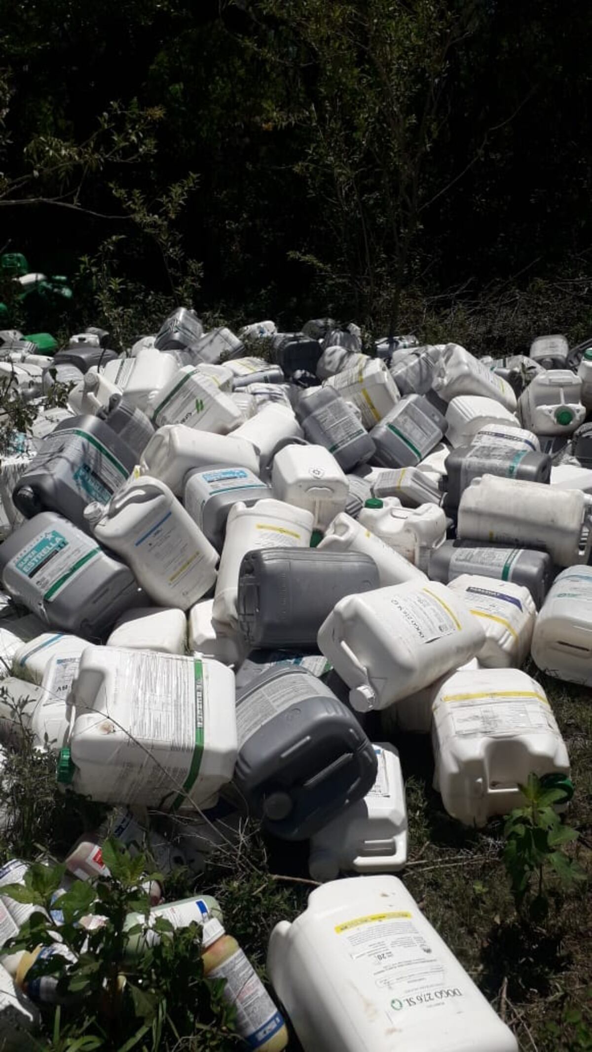 Envases de agroquímicos acumulados, tirados en una zona serrana, en una imagen tomada y difundida por vecinos días trás. (Gentileza vecinos)