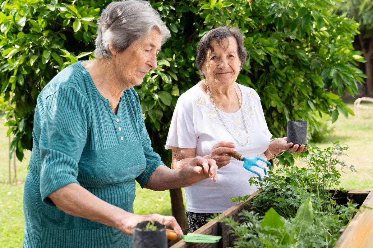 Talleres y actividades socio-recreativas para fomentar una vida activa y en comunidad.