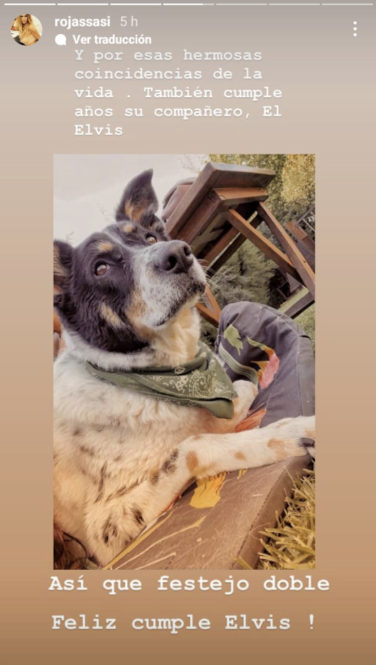 El posteo de Sabrina Rojas para desearle feliz cumpleaños a Elvis, el perro del Tucu López