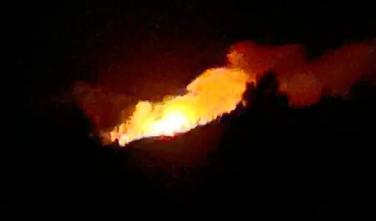 Chubut: el incendio en el Parque Nacional Los Alerces fue detectado cerca de las 22 de este jueves. (Gentileza)