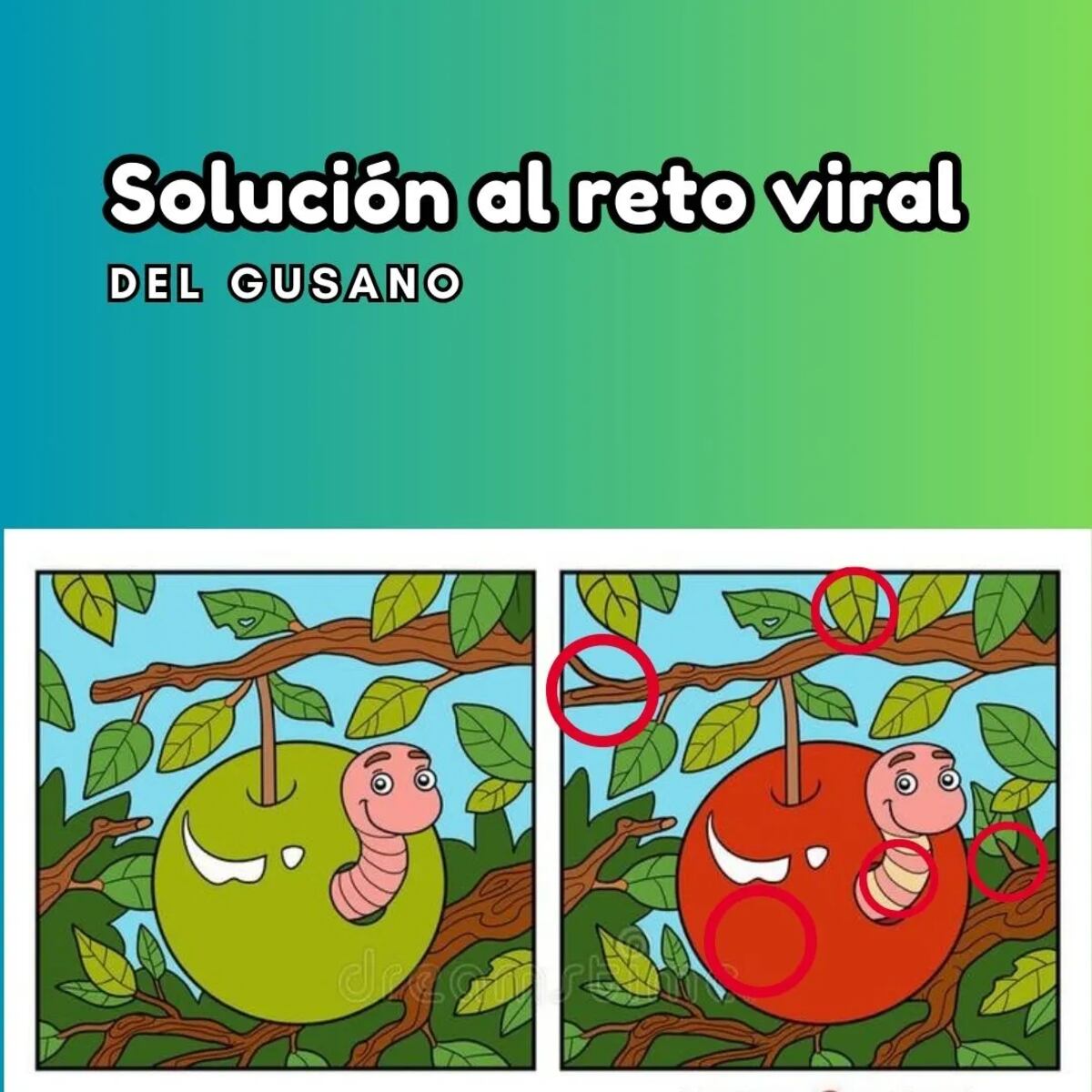La solución del reto visual.