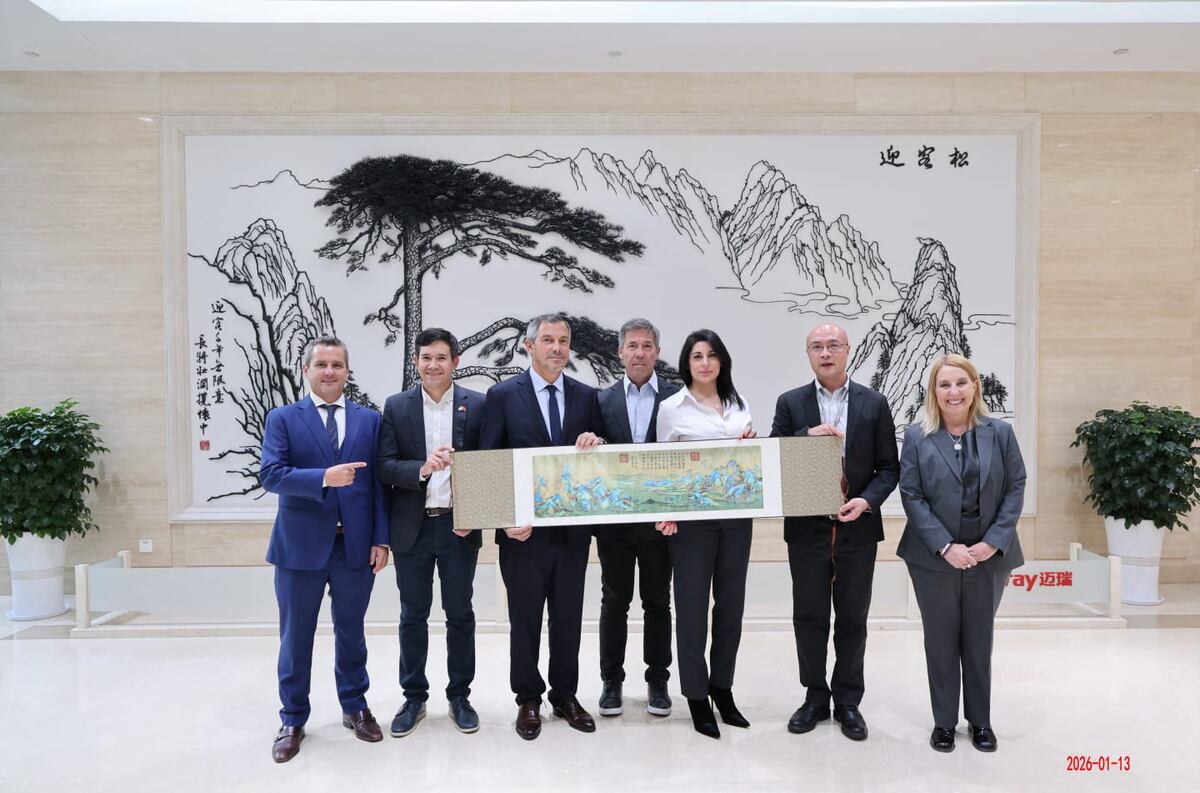Ibáñez (a la derecha), junto con los diputados que viajaron a China. (Foto @SantilanJuli223)