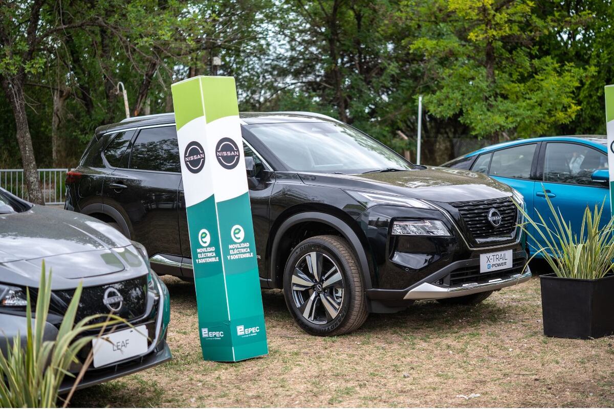 Autocity reafirma su compromiso con el planeta y la comunidad