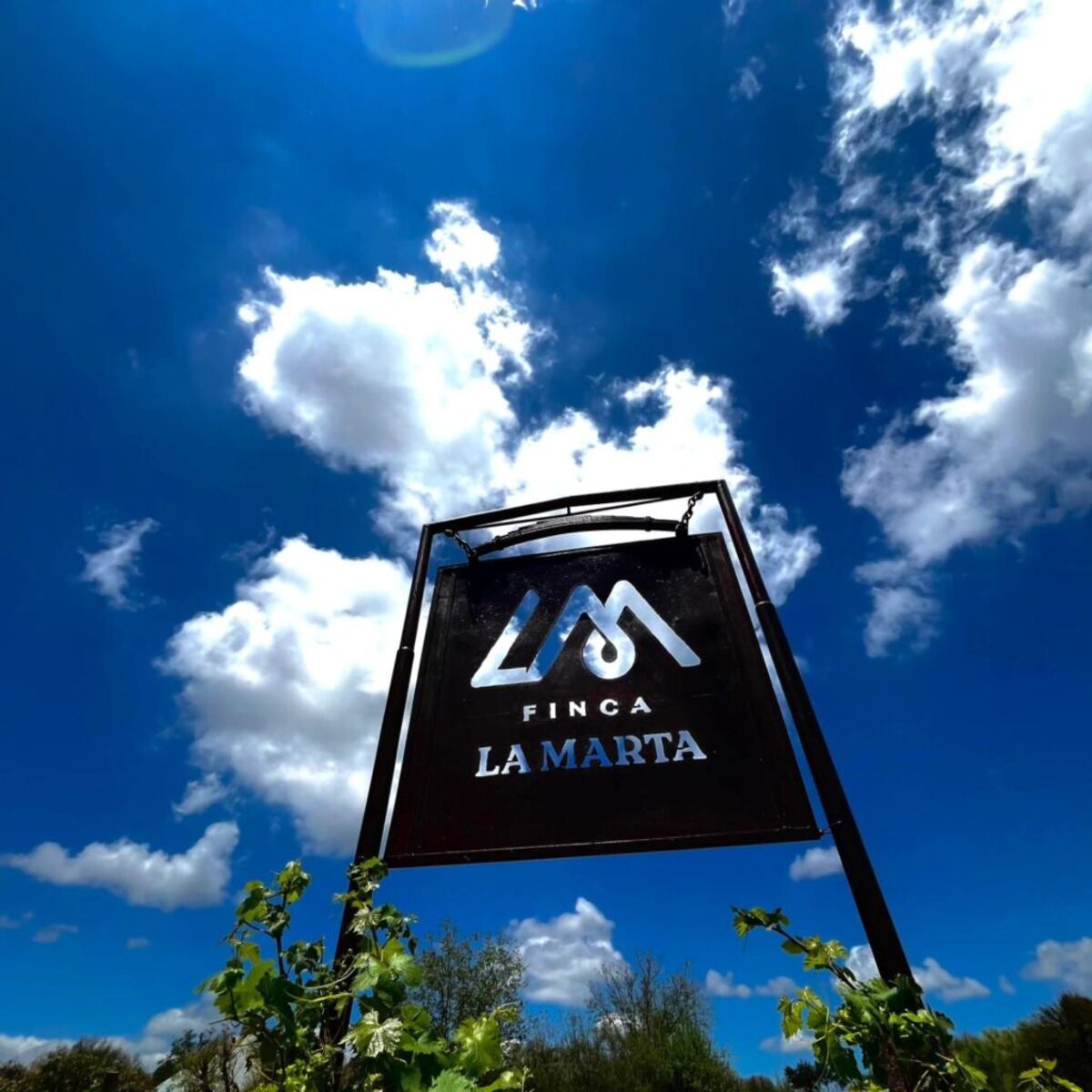Finca La Marta.