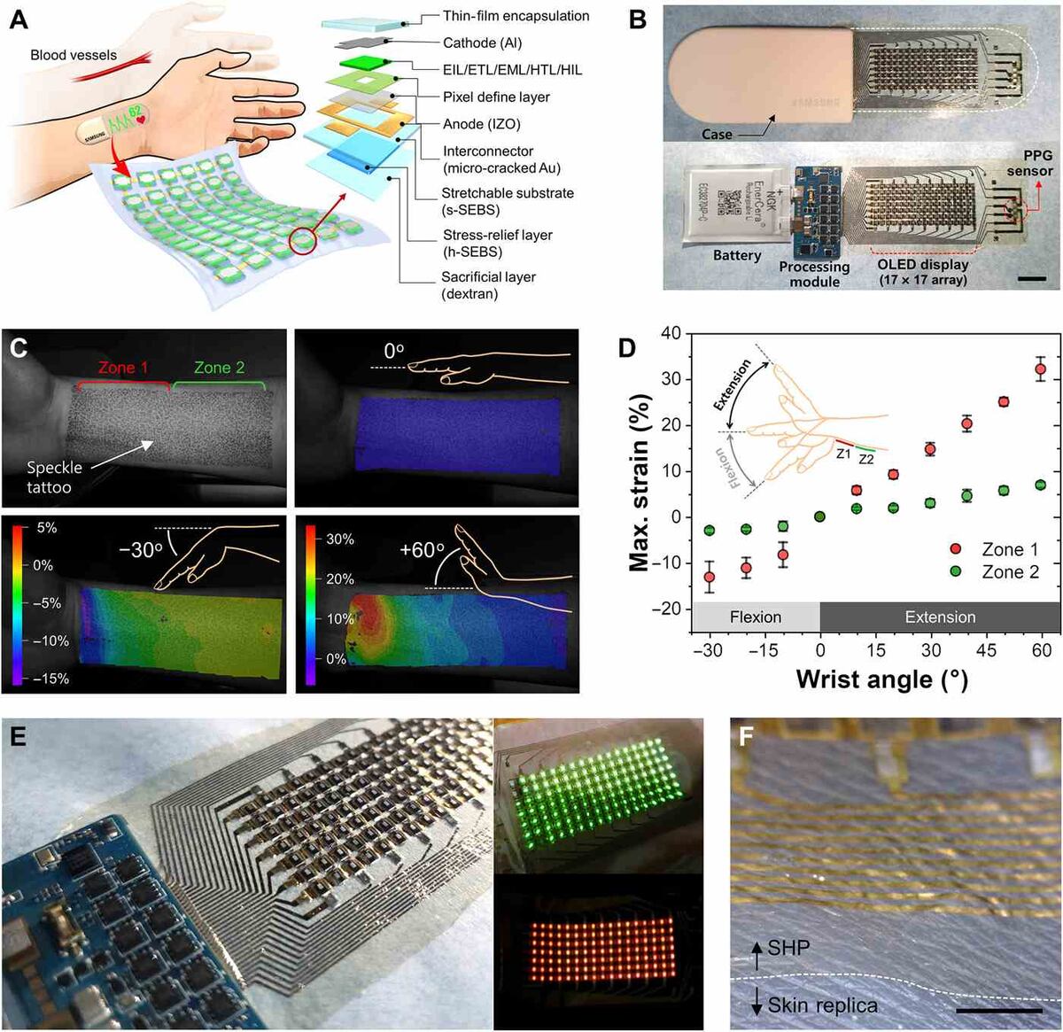 El dispositivo, presentado por Samsung integra un sensor de fotopletismografía, una técnica que usa un haz de luz para determinar el volumen de un órgano. (Imagen de Science Advances)