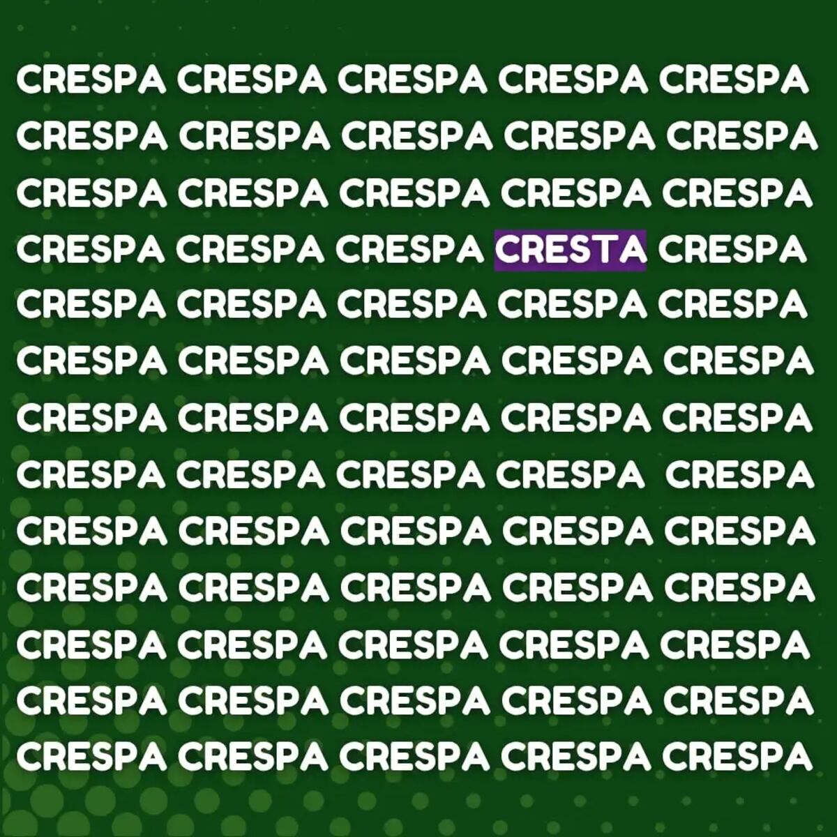 El acertijo visual.