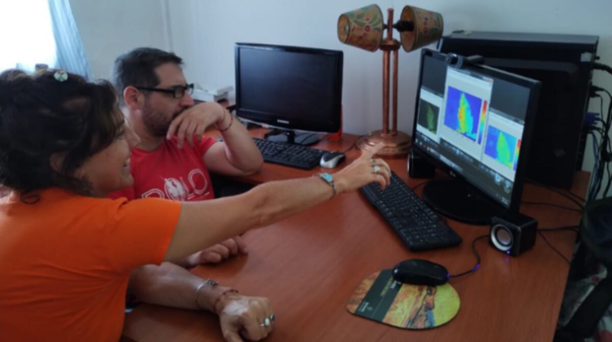 El dispositivo láser posibilitaría acelerar los tiempos de análisis de semillas, granos y cultivos. (Gentileza Fauba)