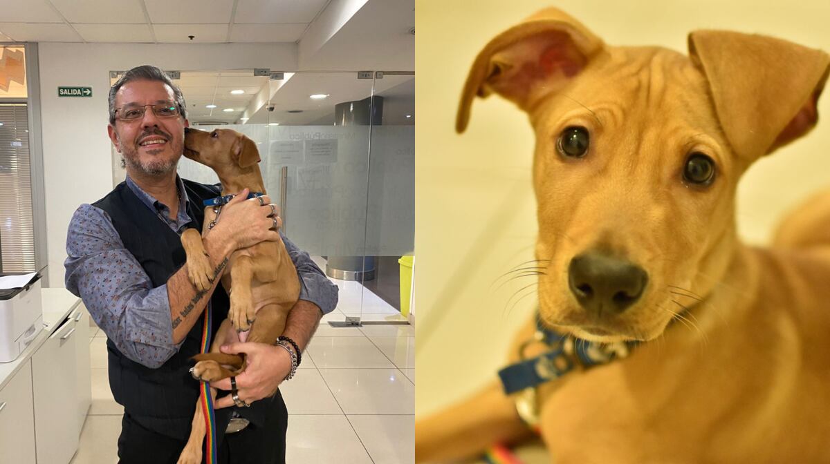 "Tachito" fue adoptado luego del episodio que le tocó vivir. (Gentileza)