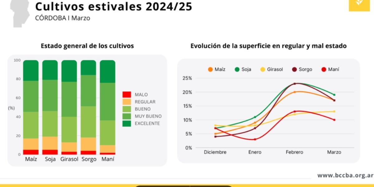 Cultivos estivales