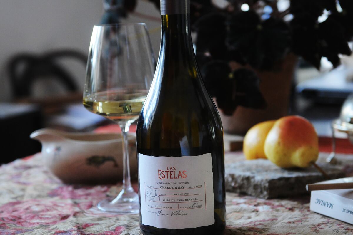 El chardonnay argentino que conquista al mundo (Javier Ferreyra).