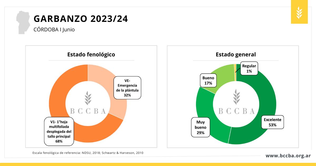 Garbanzo 2023-24