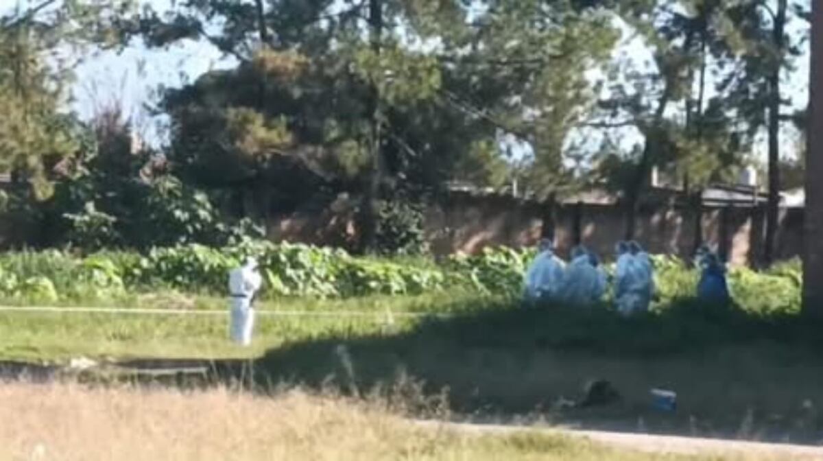 Horror en Tucumán: una mujer fue asesinada cuando caminaba hacia su trabajo