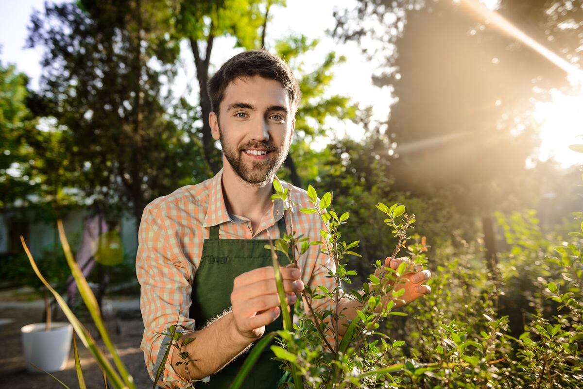 El secreto casero para revivir tus plantas: cómo hacer abono con agua de arroz