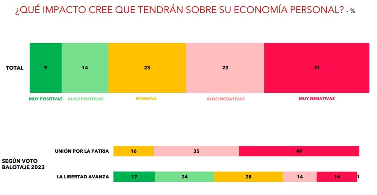 Encuesta de D'Alessio Berentesztein en abril de 2025 (captura de pantalla).