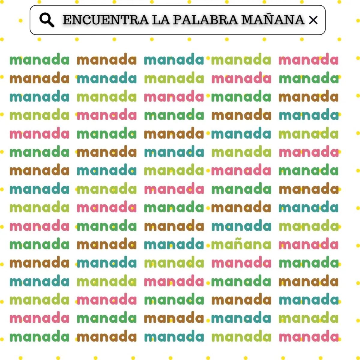 El acertijo visual.